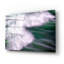 Art mural en verre Ivy Bronx «The Kootenai River» par Rick Berk-524498204