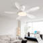 Antha 122cm Ceiling Fan with LED Lights