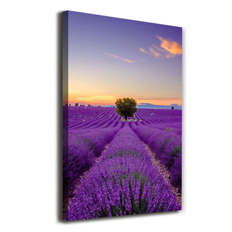 Lavender Field - Wrapped Canvas Print