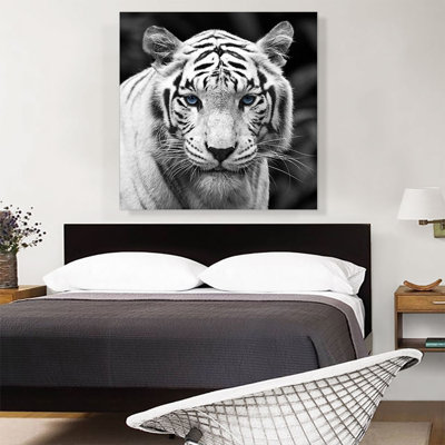 «White Tiger Blue Eyes Staring» - impression sur toile tendue