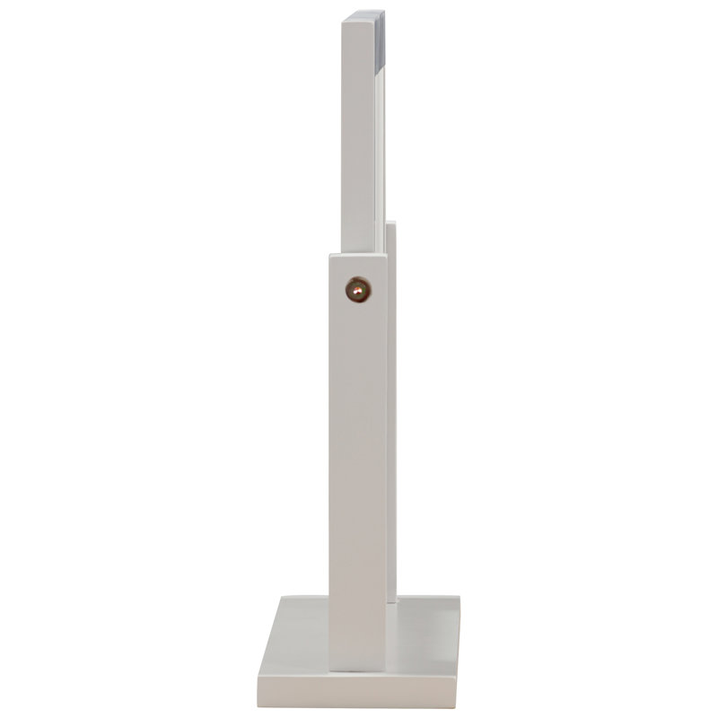 Dorchester Rectangle Floor Mirror