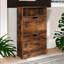 2 Drawer Shoe Storage Cabinet With Shelf Rustic
