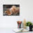 Lion Cub On Back by David Stribbling - Gallery-Wrapped Canvas Giclée on Canvas-806269670-806269668