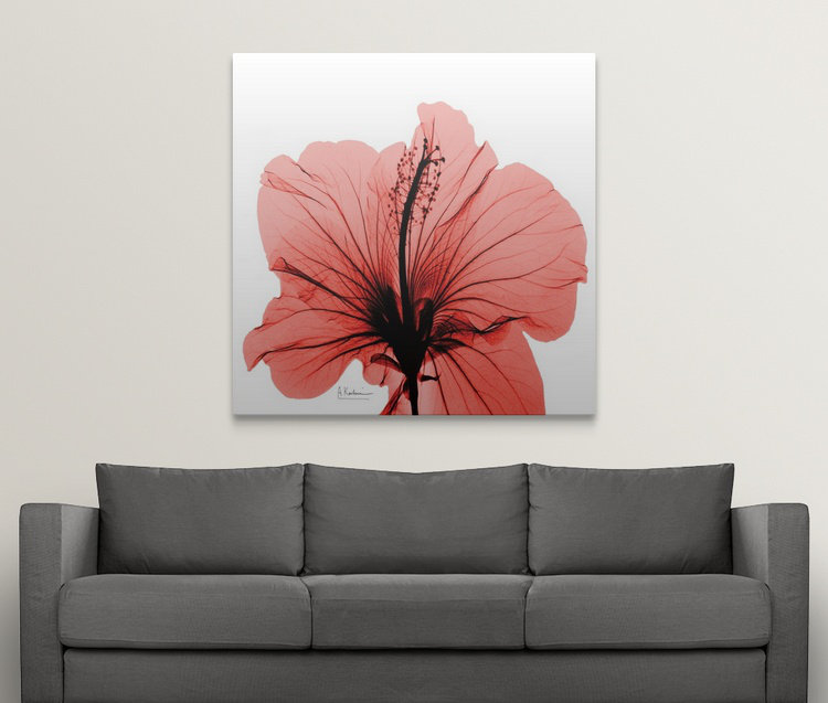 «Manigault», Hibiscus X-Ray par Kiranjit, reproduction de photo, H 20 po x l 20 po x P 1,5 po, Toile