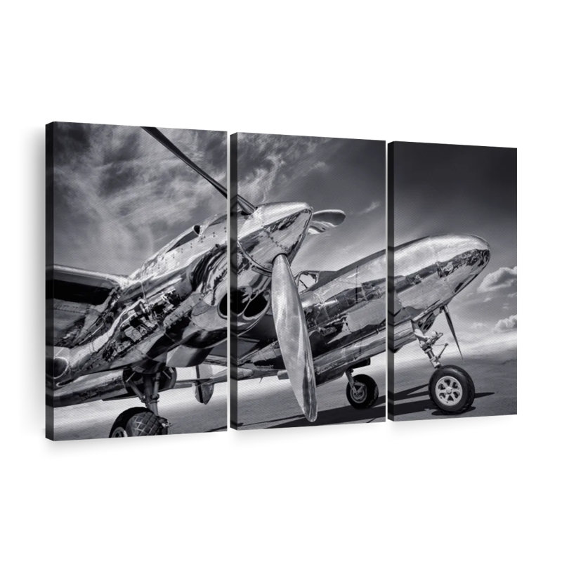 " Monochrome Silver Plane ", 50" H x 32" W x 1.25" D