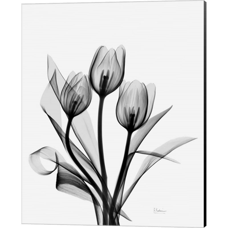 «Three Grey Tulips H14» par Albert Koetsier, impression sur toile tendue