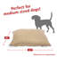 Coussin Super Value-2780278-2780275