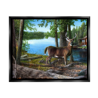 «Stupell Industries Deer in Lake Cabin Forest», art mural sur toile par Kevin Daniel