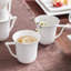 Ensemble de 6 tasses à café en porcelaine Encinoso, 9,5 oz