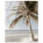 High-Gloss Acrylic Print selected