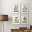 «Pastel Birds I», ensemble de 4 reproductions de cadres photo-1266957730-1266957738