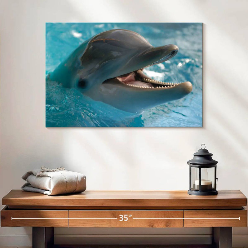 Brampt Delighted Dolphin, 16" H x 24" W
