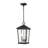 Bourke 2 - Light Outdoor Hanging Lantern-1683147482