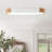 1-Dumb white LED dimmable ceiling light