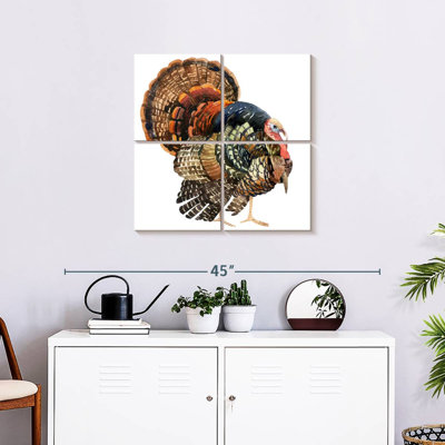 Brampt Turkey
