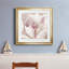 Intime Blush I - cadre photo, reproduction d'art sur papier-80638798-80638793