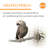 Metal Bird Perch for Inside Cage-4769181