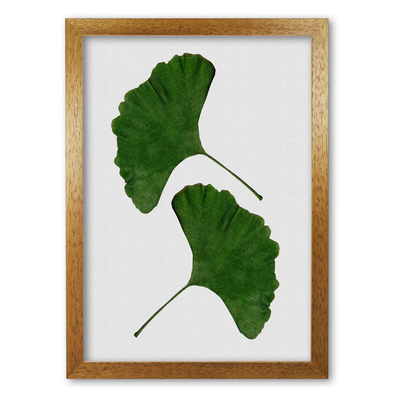 Ginkgo Leaf II - Print, 85 cm H x 60 cm W x 5 cm D, Honey Oak Frame