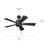 Lucian II 42'' Ceiling Fan