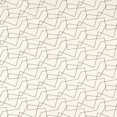 Extensity Fabric