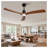 60 Inch Wood Ceiling Fan with 3 Solid Walnut Blades, Remote Control & Reversible DC Motor - Quiet LED Ceiling Fan for Living Room, Black