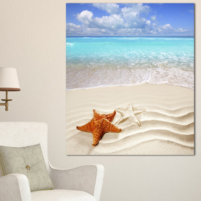 " Brown Starfish On Caribbean Beach "