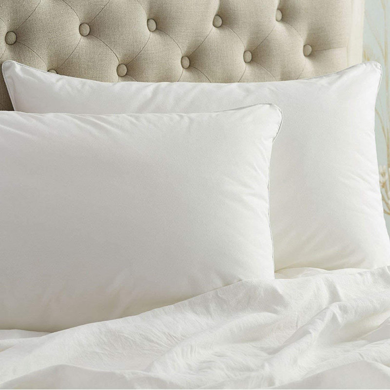 Feathers L74 x W50cm Firm Support Pillow