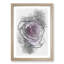 The Pale Purple Rose - Picture Frame Painting Print-56855379-56855380