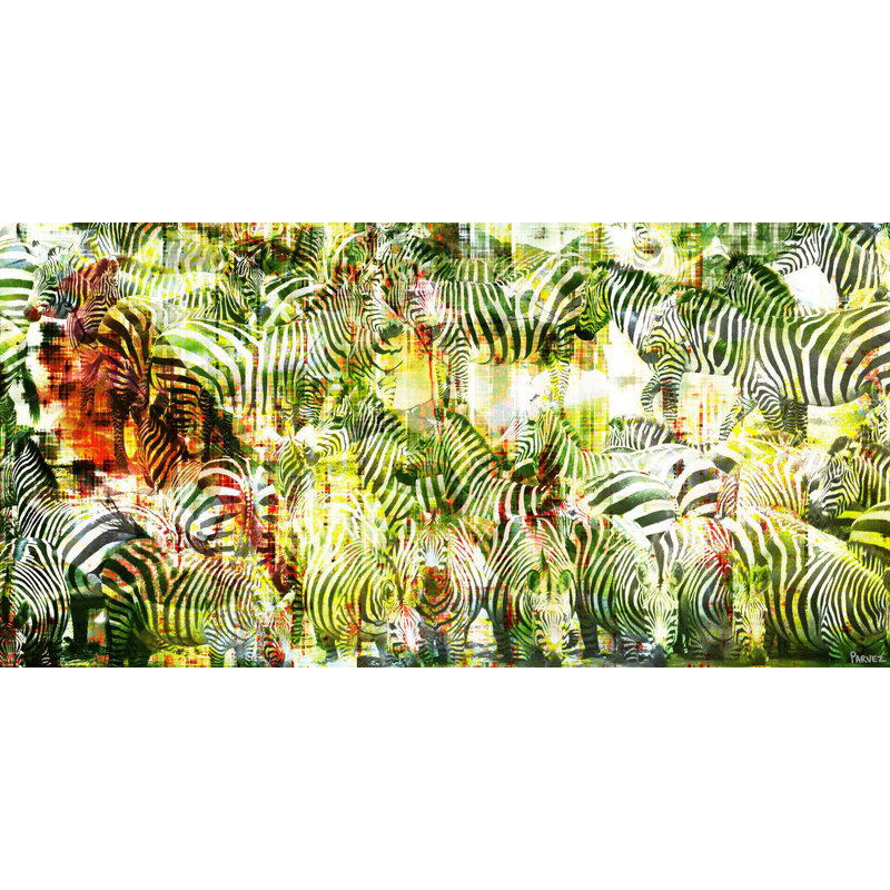 Parvez Taj - Wrapped Canvas Print, 30cm H x 61cm W