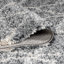Tapis gris clair / ivoire Doster Ogee-17285424