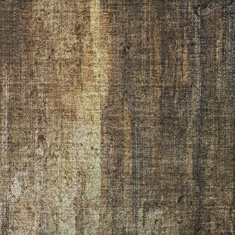 Tapis à poil long de qualité supérieure lavable à la machine ADS567, 3' x 5', Chocolate