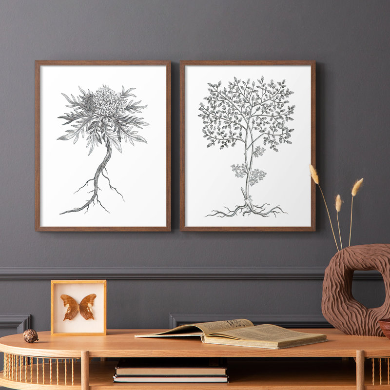 Reproduction encadrée de qualité supérieure de B&W Plant Speciment III - prête à être accrochée - aucun clou requis - aucun clou requis