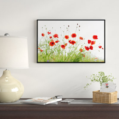 «Poppies on White Fond», reproduction de photo sur toile tendue encadrée