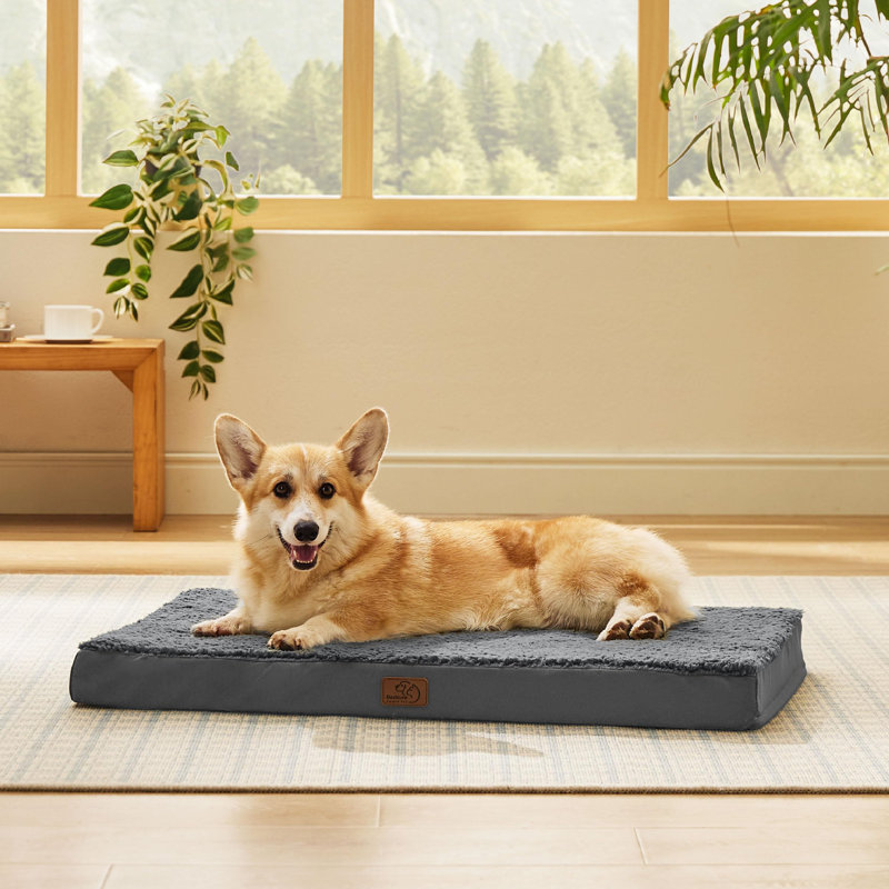 Lit orthopédique pour chien - Housse imperméable pour animal en mousse avec caisse lavable amovible, Pierre ciselée