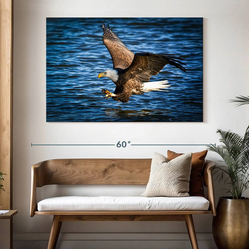 Aigle à tête blanche, H 34 po x l 51 po