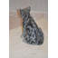 Statue chat Eastgate assis en bronze - Taille: L 11 po x l 6 po x H 11 po.