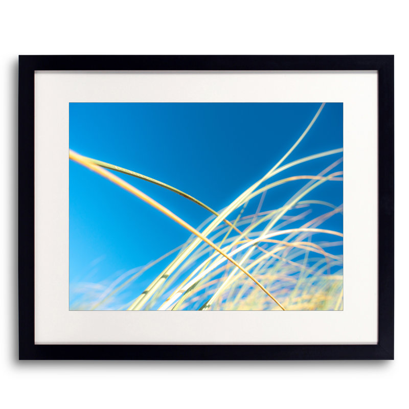 Dune Grasses Print by Petra Trimmel, Black Framed Paper, 16" H x 20" W