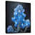 Toile avec cadre flottant noir