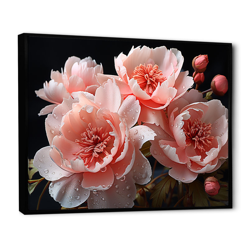 Jardin rose des délices de pivoine, Cadre flottant noir, H 24 po x l 32 po x P 1 po
