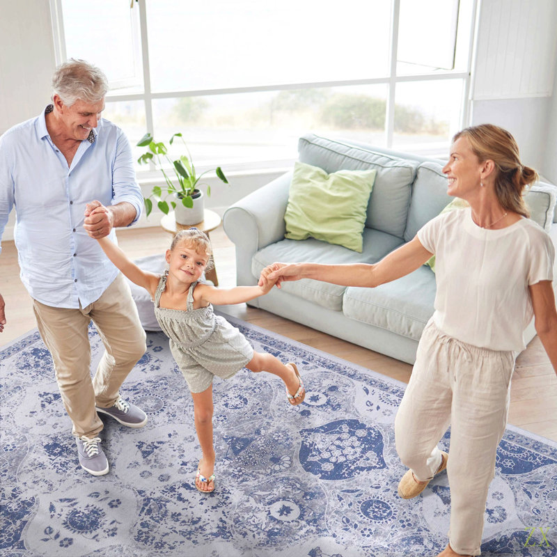 2'6''X10' Runner, Washable Rug, Low-Pile, Non-Slip, Non-Shedding, Foldable, Kid & Pet Friendly - Area Rugs For Living Room, Bedroom, Kitchen, Dining Room Rug (2'6''X10')