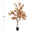 Plant-1652196846