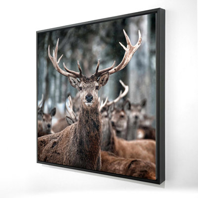 «Stags»