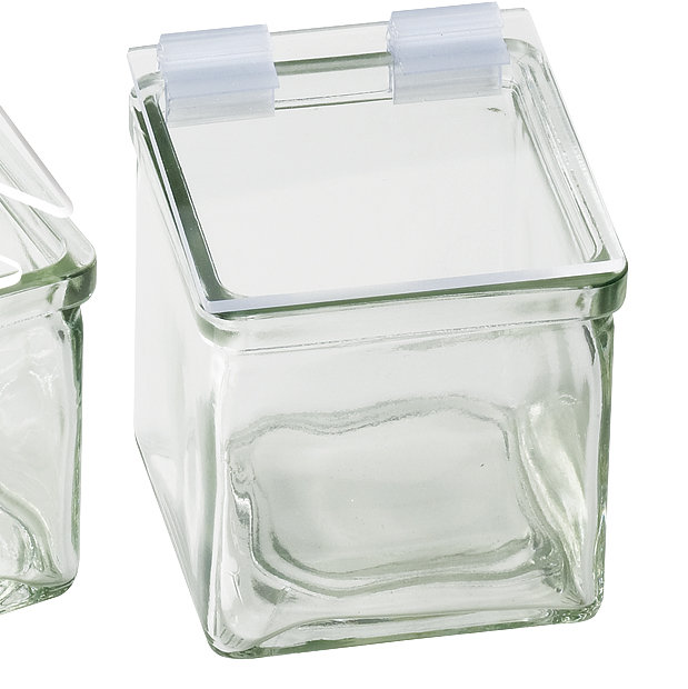 Hinged Square Plastic Lid