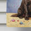 Drapeau «Happy Birthday House»-112736355