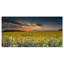 Coucher de soleil avec ciel nuageux Hedy par Jeb Buchman-504194155-517244721