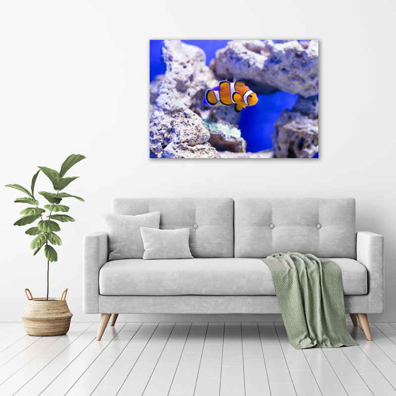 Clown Fish - Wrapped Canvas Print