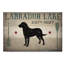 Reproduction d’art graphique sur toile, "Labrador Lake" par Ryan Fowler-31878355