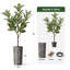 Artificial Tree Striped Planter Fake Rubber Silk Tree (Plant Pot Plus Tree)-104345555