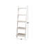 Noemi Ladder Bookcase-1038021310