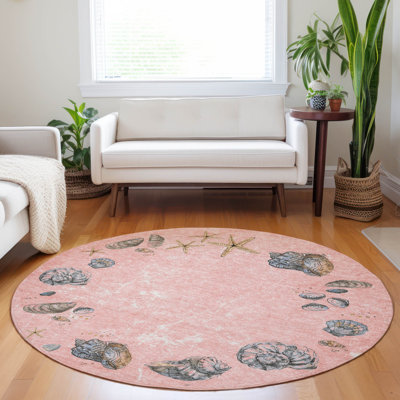 Premium Machine Washable Cerrito AMF188 Rug